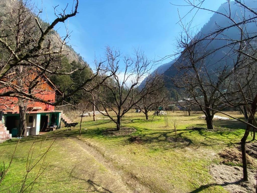 The Royal Orchard Kasol Hotel Exterior foto