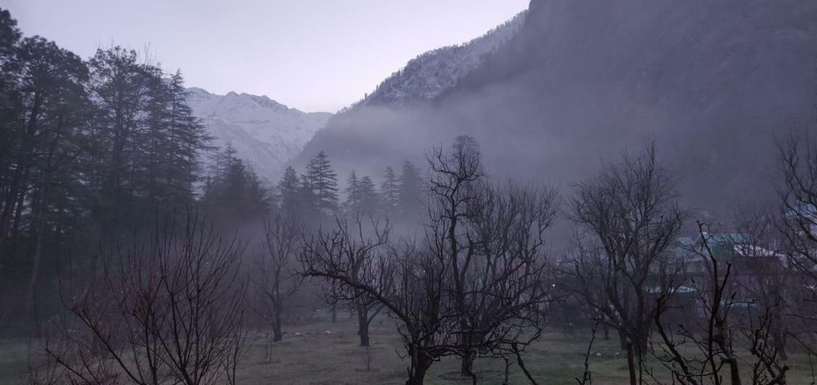 The Royal Orchard Kasol Hotel Exterior foto